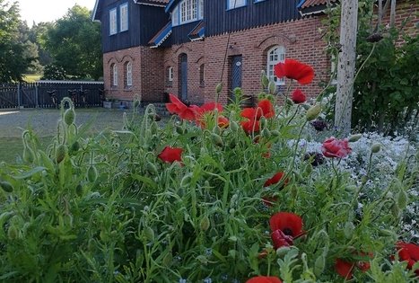 „Šturmų švyturys“