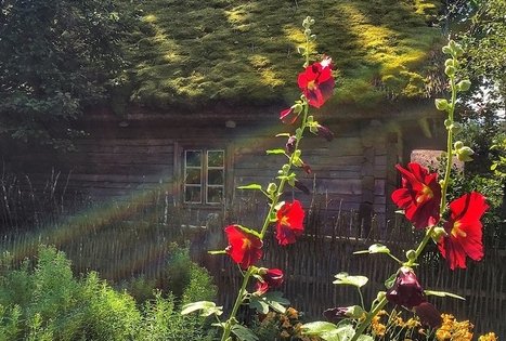 Kleboniškių kaimo buities muziejus