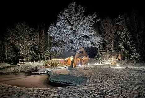 Sodyba „Liežio oazė“