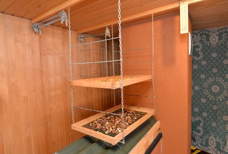 Sodyba „Antalakaja“