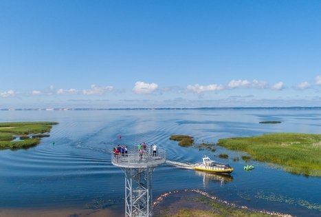 Pamario turizmo klasteris