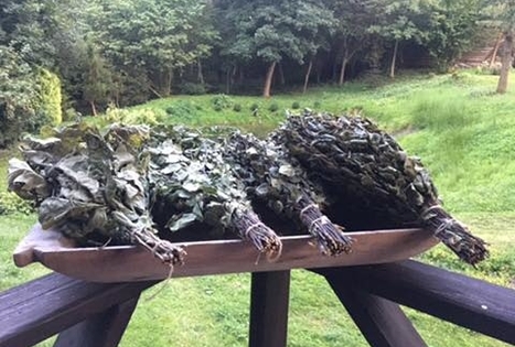 Sodyba „Altonė“