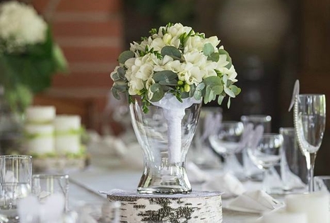 Antano Budriaus sodyba