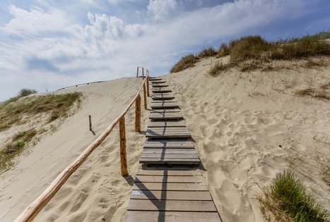 Parnidžio pažintinis takas