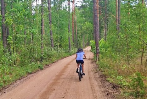 Sodyba „Dzūkų uoga“