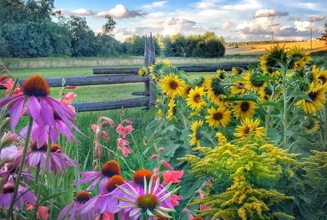 Kleboniškių kaimo buities muziejus