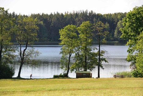 Sodyba „Šniūrai“