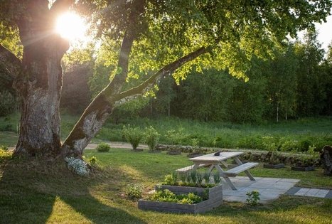 Sodyba Medsėdis Plateliai