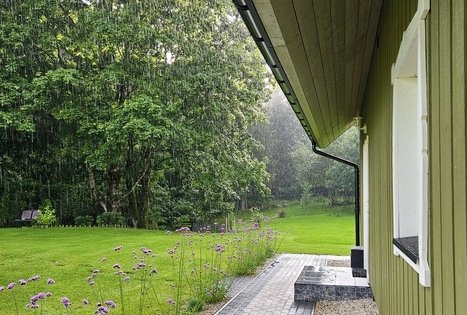 Sodyba Medsėdis Plateliai