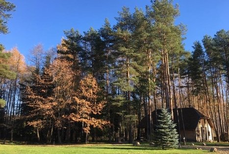 Dainiaus Spirikavičiaus sodyba