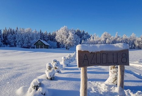 Sodyba Medsėdis Plateliai