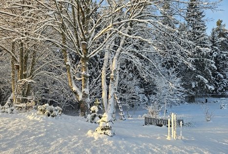 Sodyba Medsėdis Plateliai