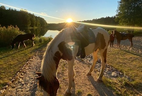 „Varėnės žirgai”