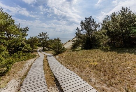 Parnidžio pažintinis takas