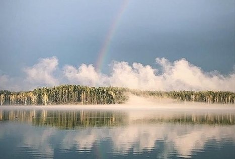 Sodyba „Šniūrai“