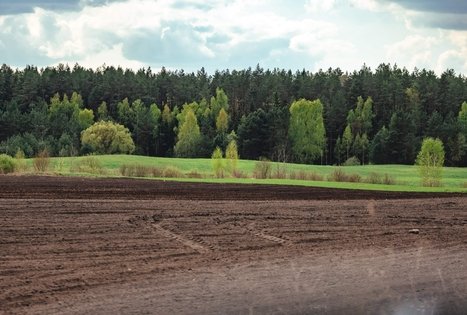 Miško Takas 51. Lazdijai – Veisiejai.