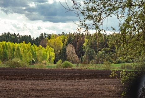 Miško Takas 51. Lazdijai – Veisiejai.