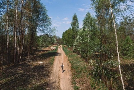 Miško Takas 51. Lazdijai – Veisiejai.