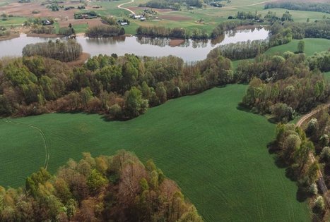 Miško Takas 51. Lazdijai – Veisiejai.