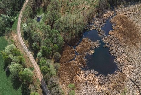 Miško Takas 51. Lazdijai – Veisiejai.