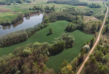 Miško Takas 51. Lazdijai – Veisiejai.