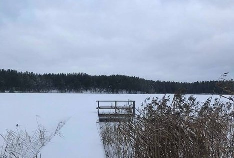 Sodyba „Šniūrai“