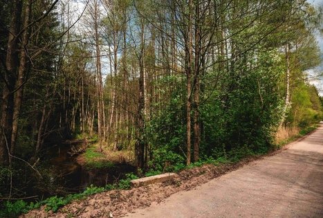 Miško Takas 52. Veisiejai – Trikojis.