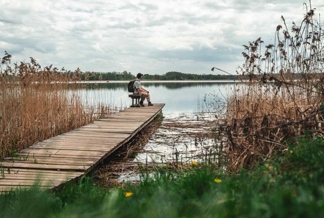 Miško Takas 52. Veisiejai – Trikojis.