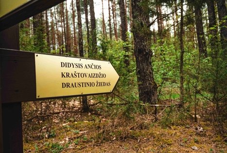 Miško Takas 52. Veisiejai – Trikojis.