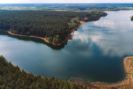 Miško Takas 52. Veisiejai – Trikojis.
