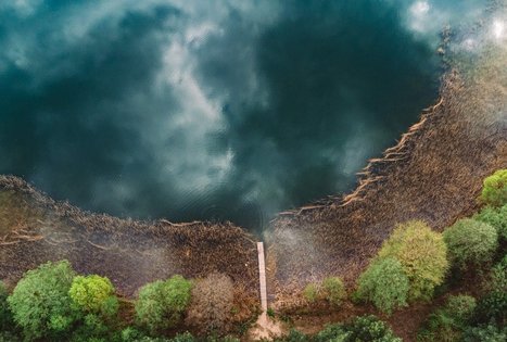 Miško Takas 52. Veisiejai – Trikojis.