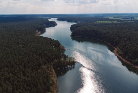 Miško Takas 52. Veisiejai – Trikojis.