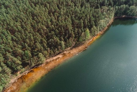 Miško Takas 52. Veisiejai – Trikojis.