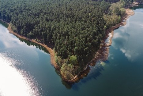 Miško Takas 52. Veisiejai – Trikojis.