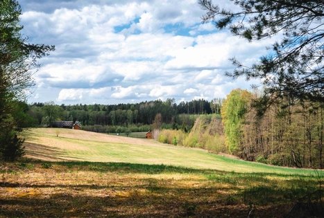 Miško Takas 52. Veisiejai – Trikojis.