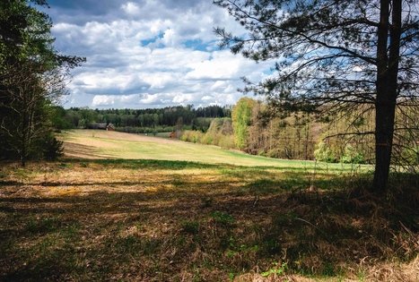 Miško Takas 52. Veisiejai – Trikojis.