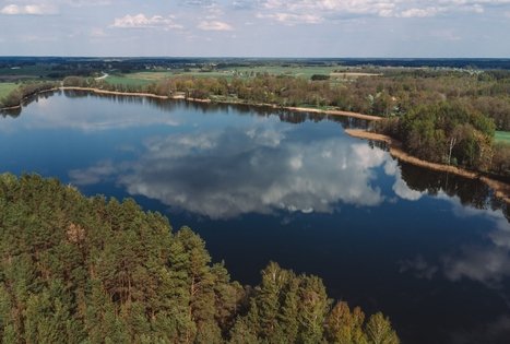 Miško Takas 53. Trikojis – Didžiasalis.