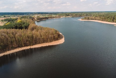 Miško Takas 53. Trikojis – Didžiasalis.