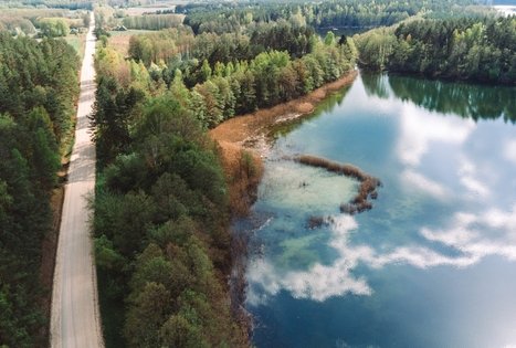 Miško Takas 53. Trikojis – Didžiasalis.