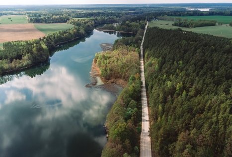 Miško Takas 53. Trikojis – Didžiasalis.