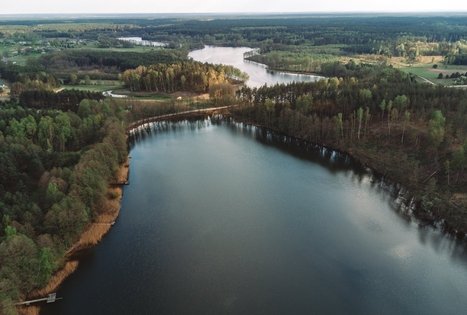 Miško Takas 53. Trikojis – Didžiasalis.