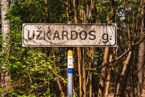 Miško Takas 53. Trikojis – Didžiasalis.