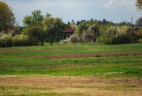 Miško Takas 53. Trikojis – Didžiasalis.
