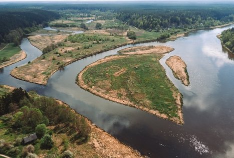 Miško Takas 55. Žiogeliai – Merkinė.