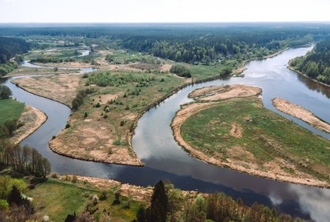 Miško Takas 55. Žiogeliai – Merkinė.