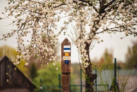 Miško Takas 55. Žiogeliai – Merkinė.