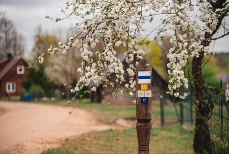 Miško Takas 55. Žiogeliai – Merkinė.