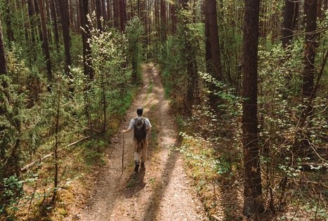 Miško Takas 55. Žiogeliai – Merkinė.