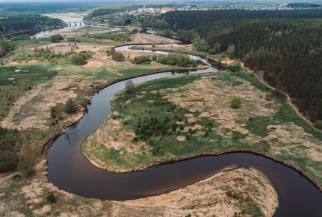 Miško Takas 55. Žiogeliai – Merkinė.
