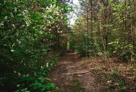 Miško Takas 57. Nemunaitis – Alytus.